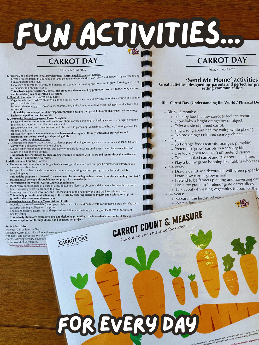 Printed & Posted - Monthly Big Ideas Box with FREE Outdoor Board - Individual - June 2025...