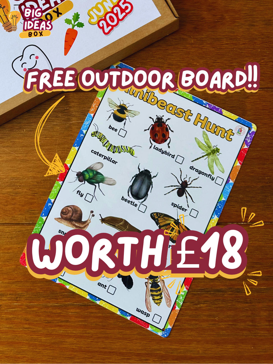 Printed & Posted - Monthly Big Ideas Box with FREE Outdoor Board - Individual - June 2025...