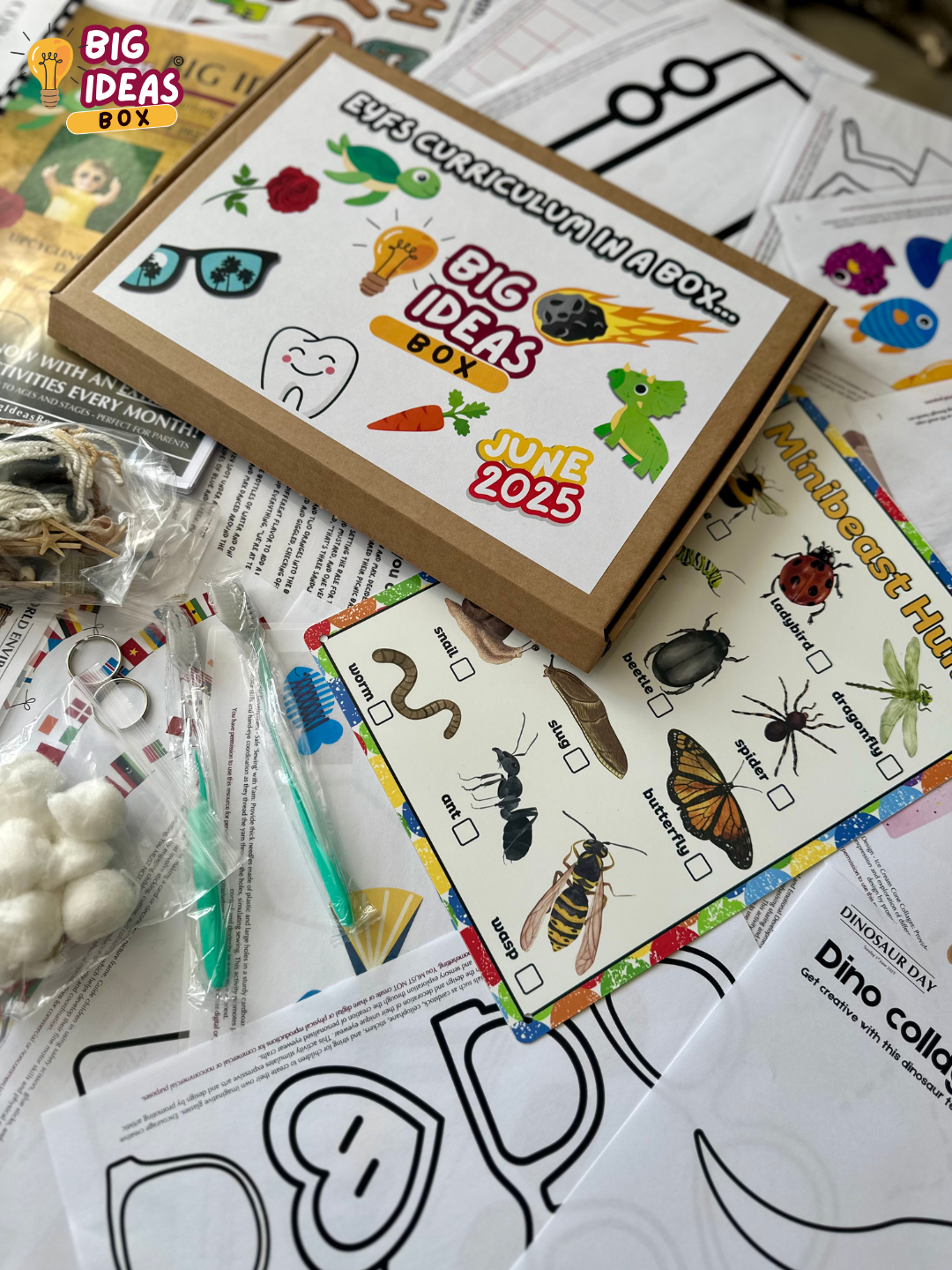 Printed & Posted - Monthly Big Ideas Box with FREE Outdoor Board - Individual - June 2025...