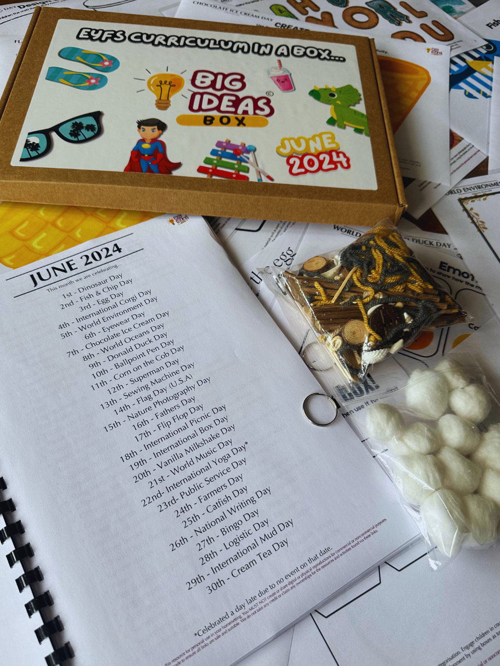 Printed & Posted - Monthly Big Ideas Box - Individual - June...