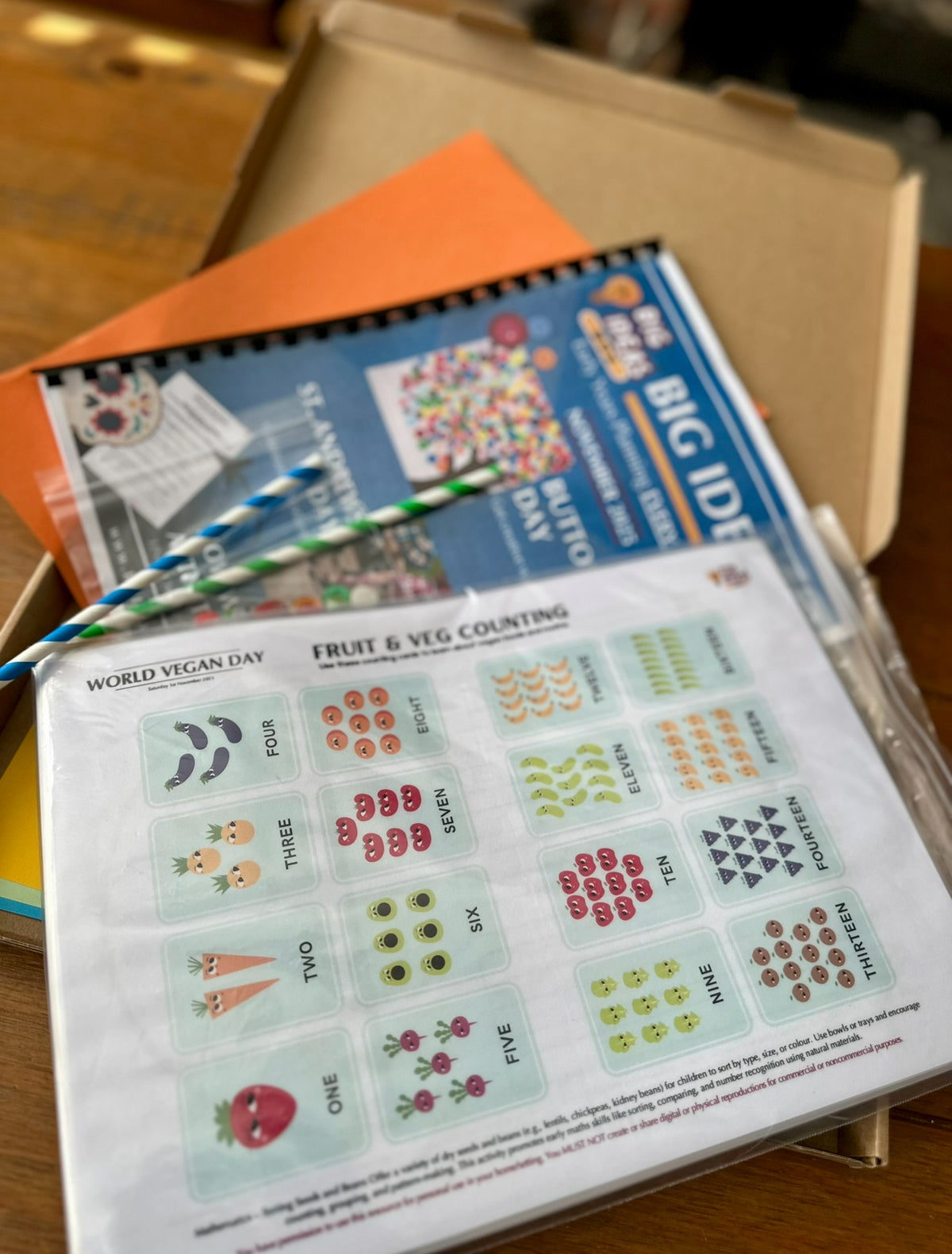 Printed & Posted - Monthly Big Ideas Box  - November 2026...