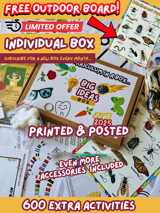 Printed & Posted - Monthly Big Ideas Box with FREE Outdoor Board - Individual - June 2025...
